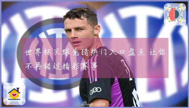 世界杯买球竞猜热门入口盘点 让你不再错过精彩赛事