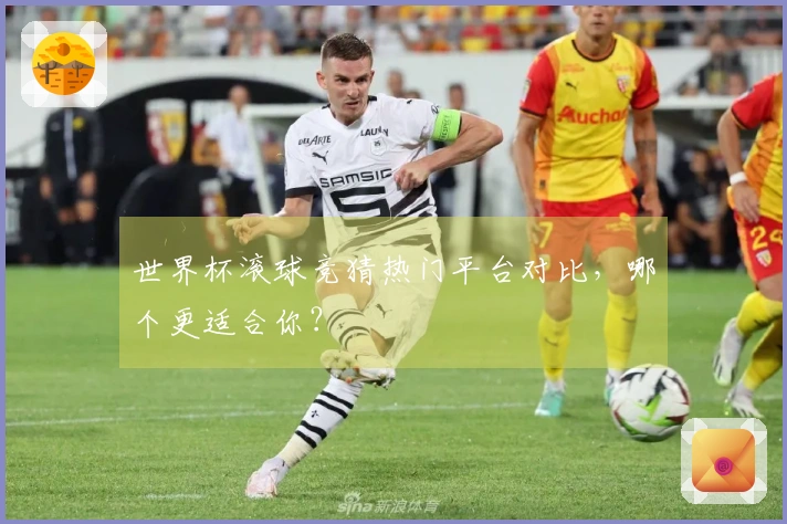 世界杯滚球竞猜热门平台对比，哪个更适合你？