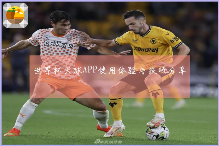 世界杯买球APP使用体验与技巧分享