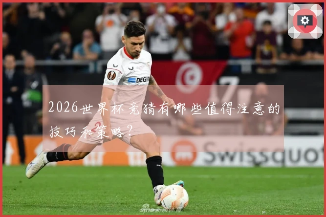 2026世界杯竞猜有哪些值得注意的技巧和策略？