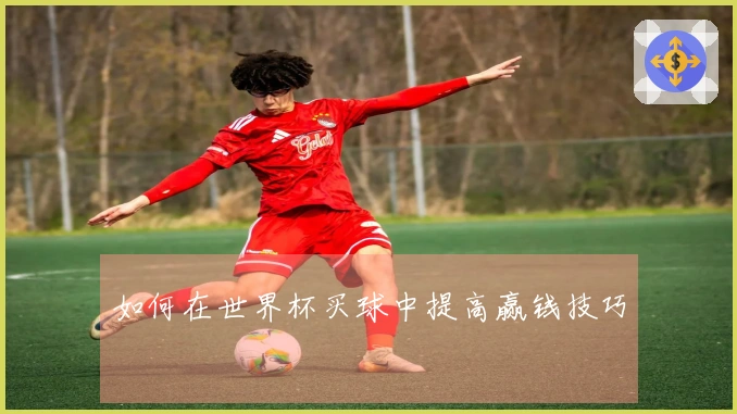 如何在世界杯买球中提高赢钱技巧