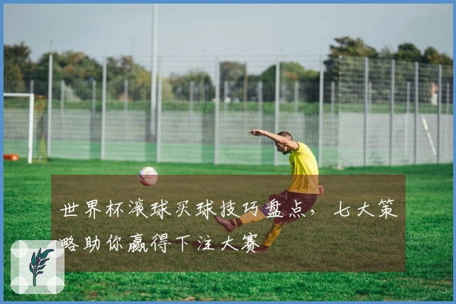 世界杯滚球买球技巧盘点，七大策略助你赢得下注大赛