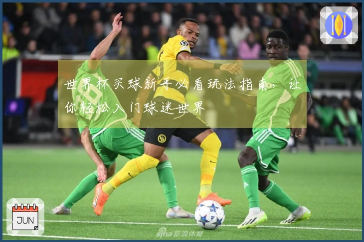 世界杯买球新手必看玩法指南，让你轻松入门球迷世界