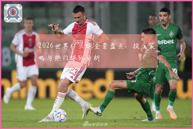 2026世界杯买球全景盘点，投注策略与热门球队分析