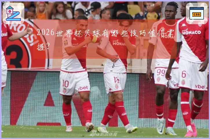 2026世界杯买球有哪些技巧值得掌握？