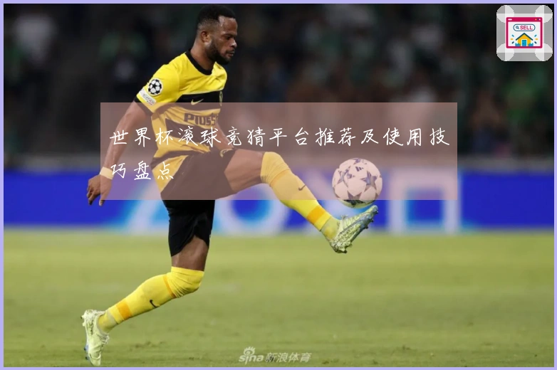世界杯滚球竞猜平台推荐及使用技巧盘点