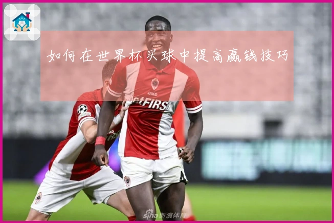 如何在世界杯买球中提高赢钱技巧