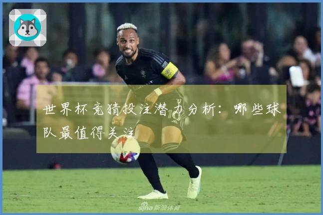 世界杯竞猜投注潜力分析:哪些球队最值得关注