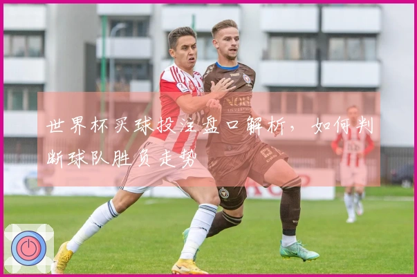 世界杯买球投注盘口解析，如何判断球队胜负走势