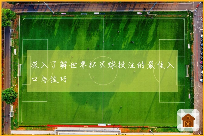 深入了解世界杯买球投注的最佳入口与技巧