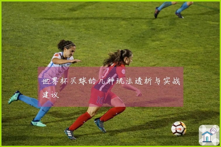 世界杯买球的几种玩法透析与实战建议