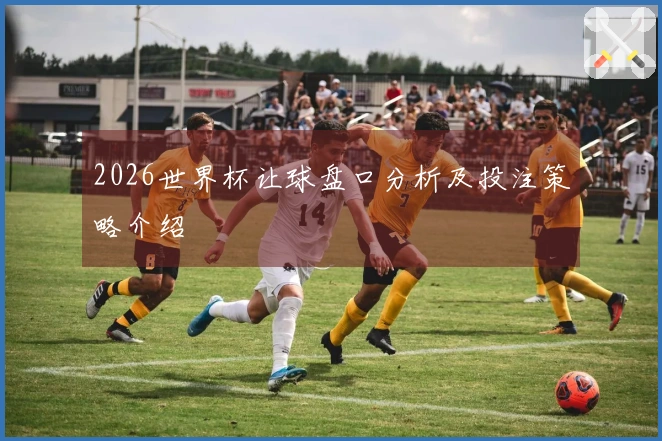 2026世界杯让球盘口分析及投注策略介绍