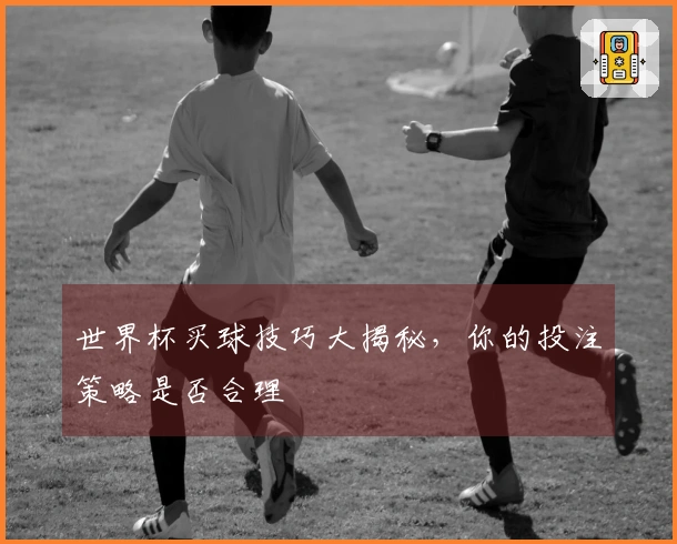 世界杯买球技巧大揭秘，你的投注策略是否合理
