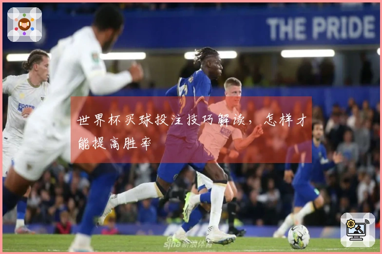 世界杯买球投注技巧解读，怎样才能提高胜率