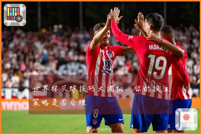 世界杯买球技巧大揭秘，你的投注策略是否合理