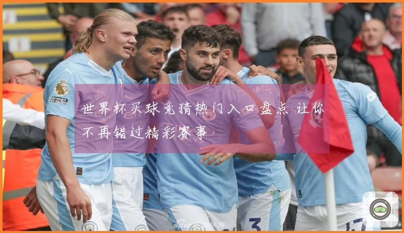 世界杯买球竞猜热门入口盘点 让你不再错过精彩赛事