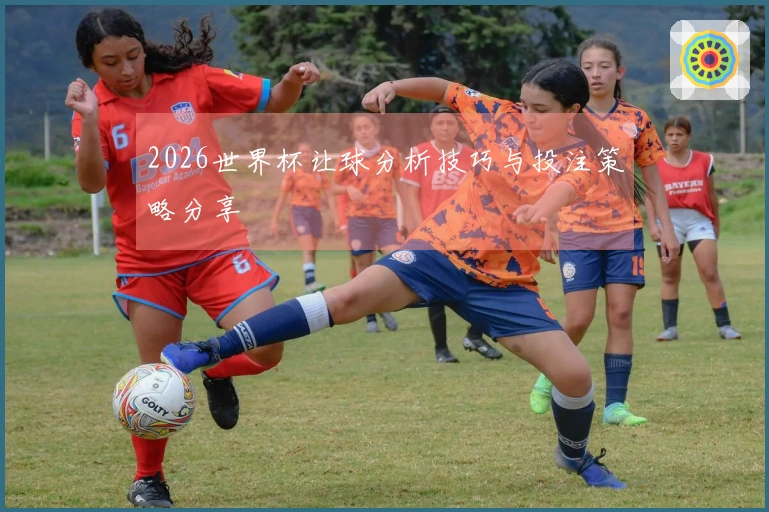 2026世界杯让球分析技巧与投注策略分享