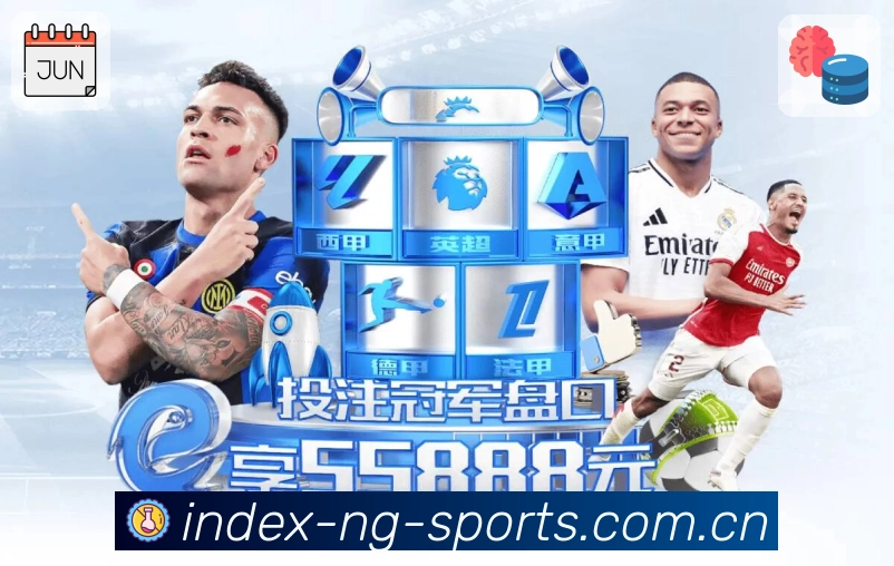 <strong>NG体育</strong>App 预览